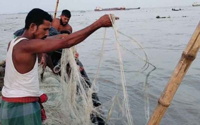 ভরা মৌসুমে মুখ থুবড়ে পড়েছে ইলিশ আহরণ