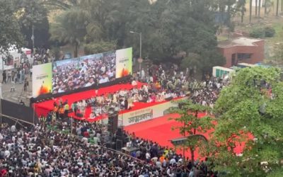 জাতীয় নাগরিক পার্টিকে ‘কিংস পার্টি’ বলা হচ্ছে কেন?